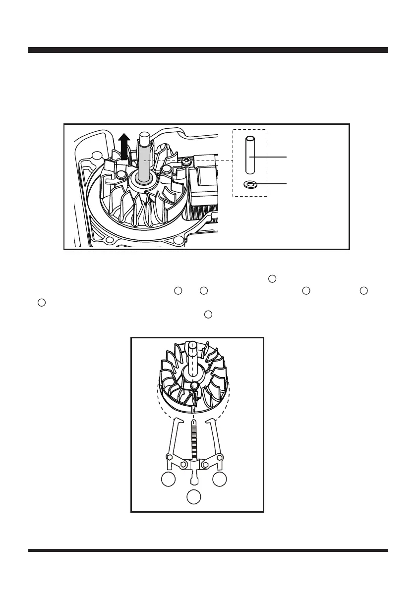 Page #23 background image