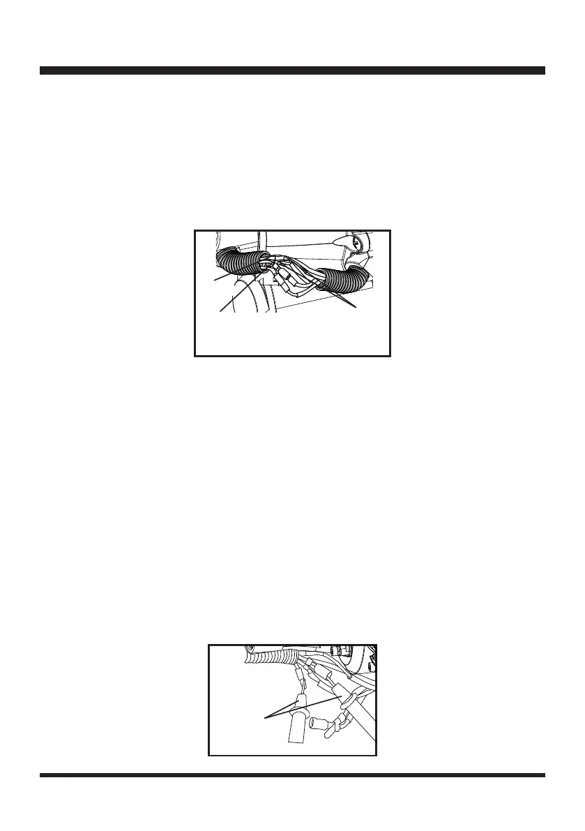 Page #41 background image