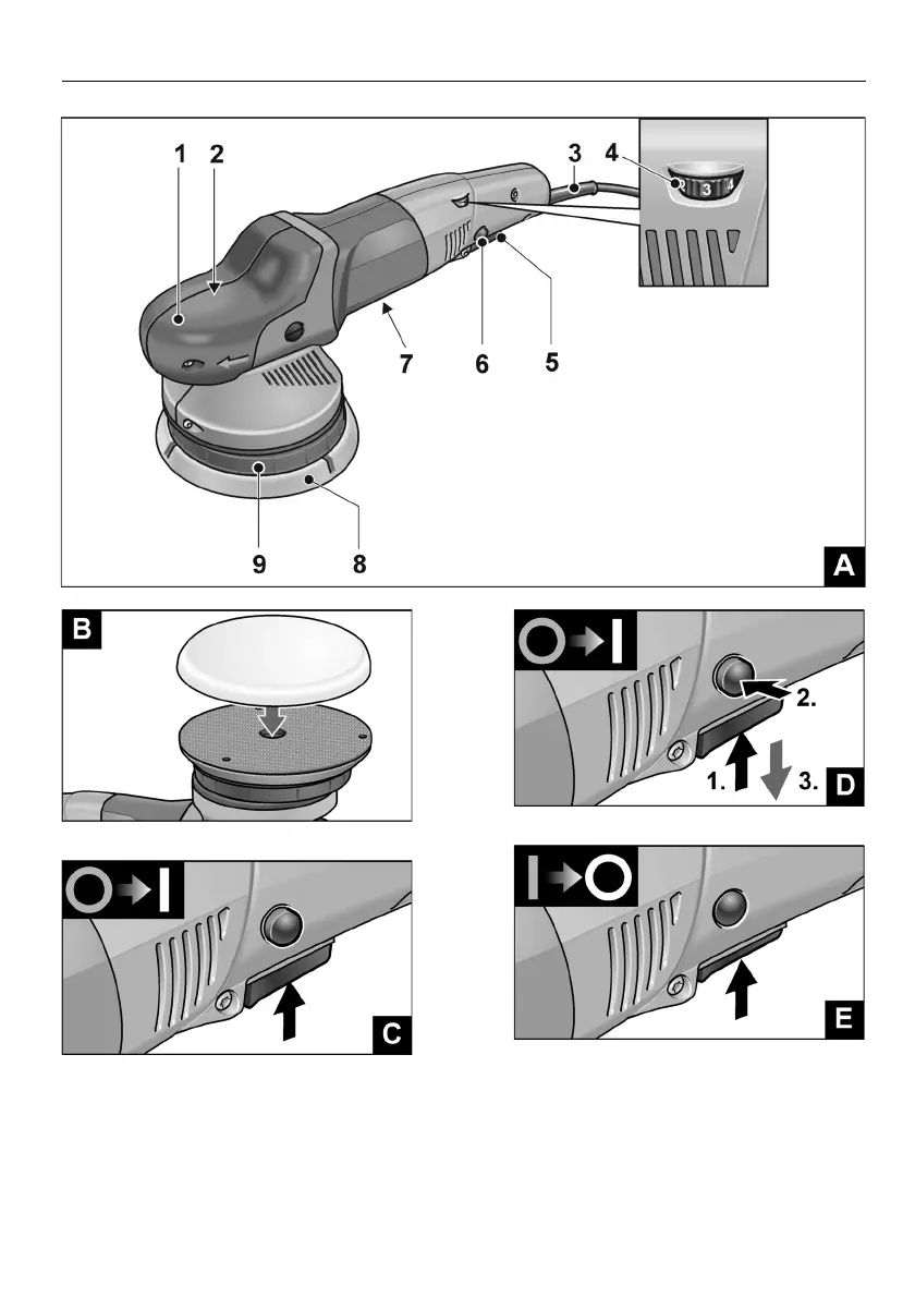 Page #3 background image