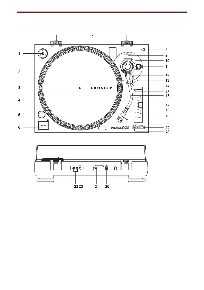 Page #16 background image