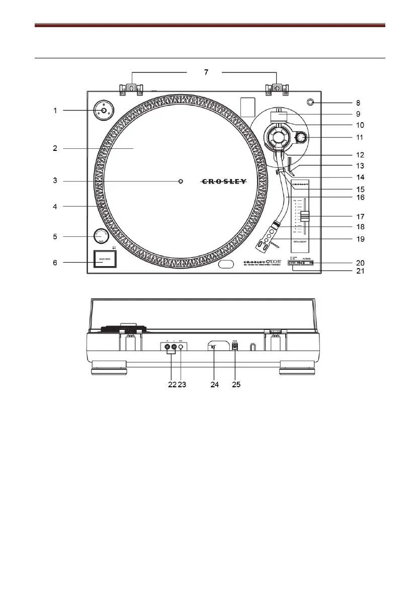 Page #4 background image