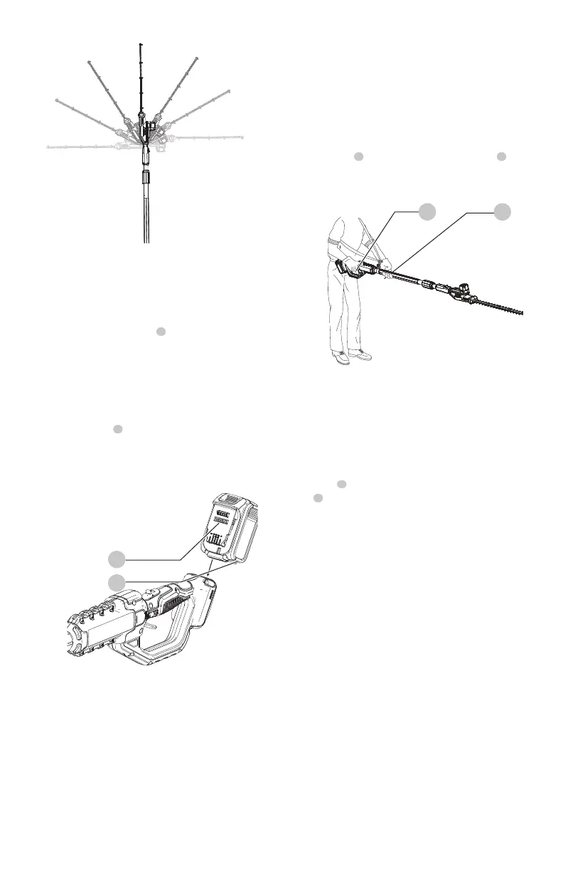 Page #44 background image