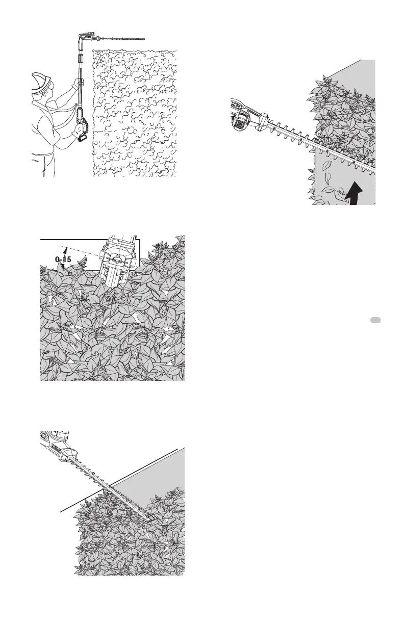 Page #46 background image