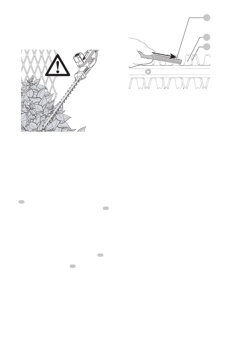 Page #47 background image