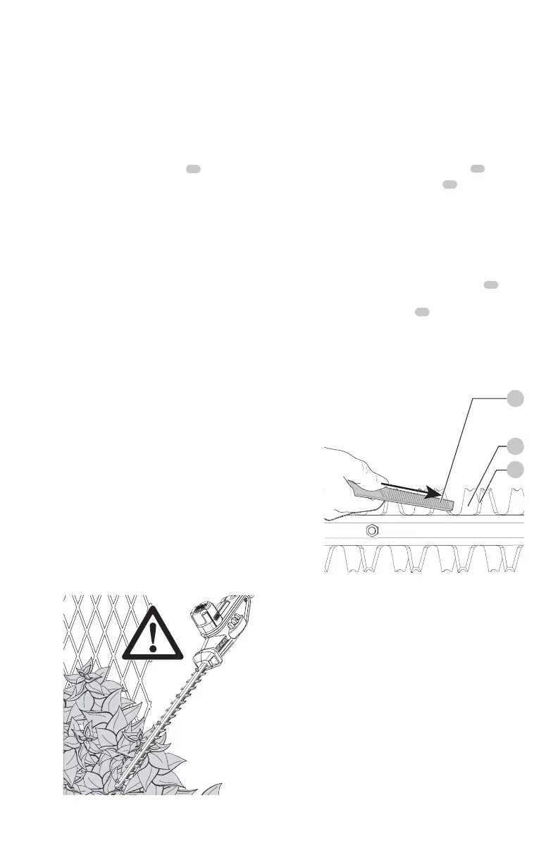 Page #15 background image