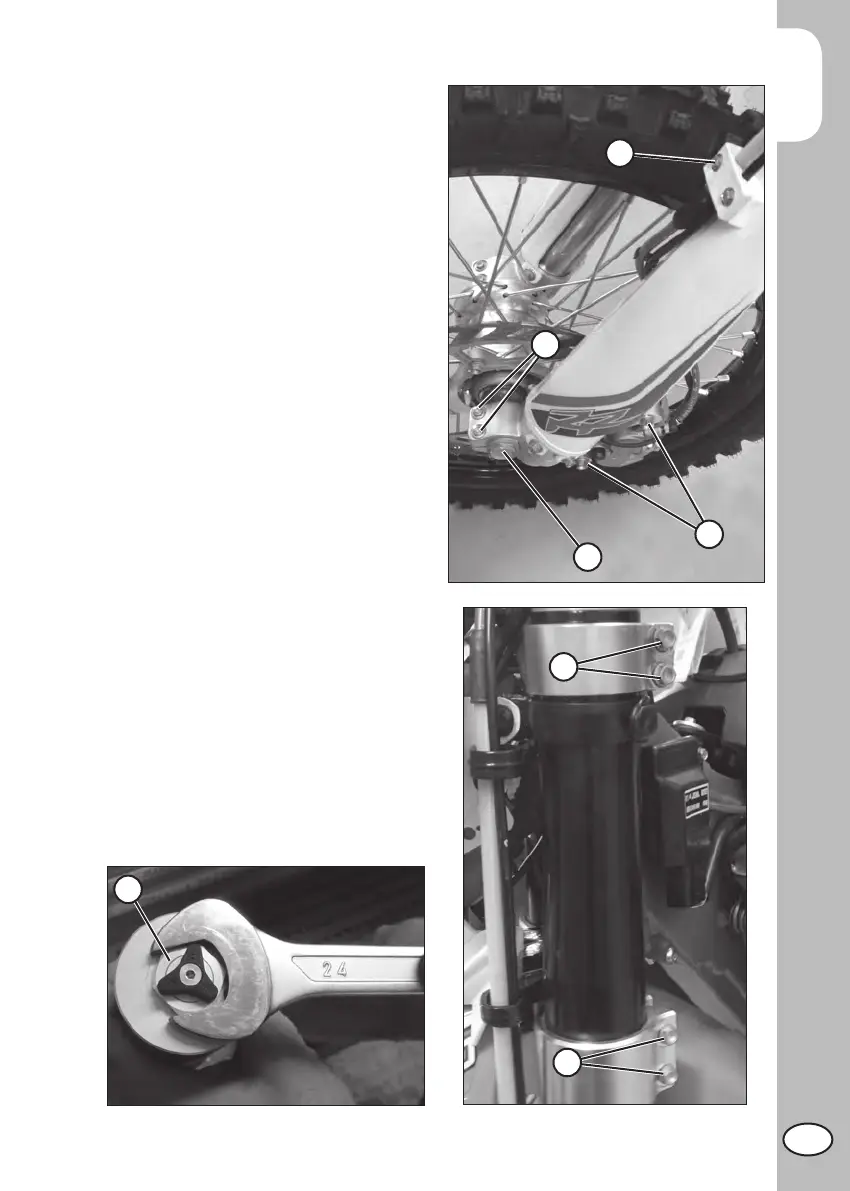 Page #261 background image