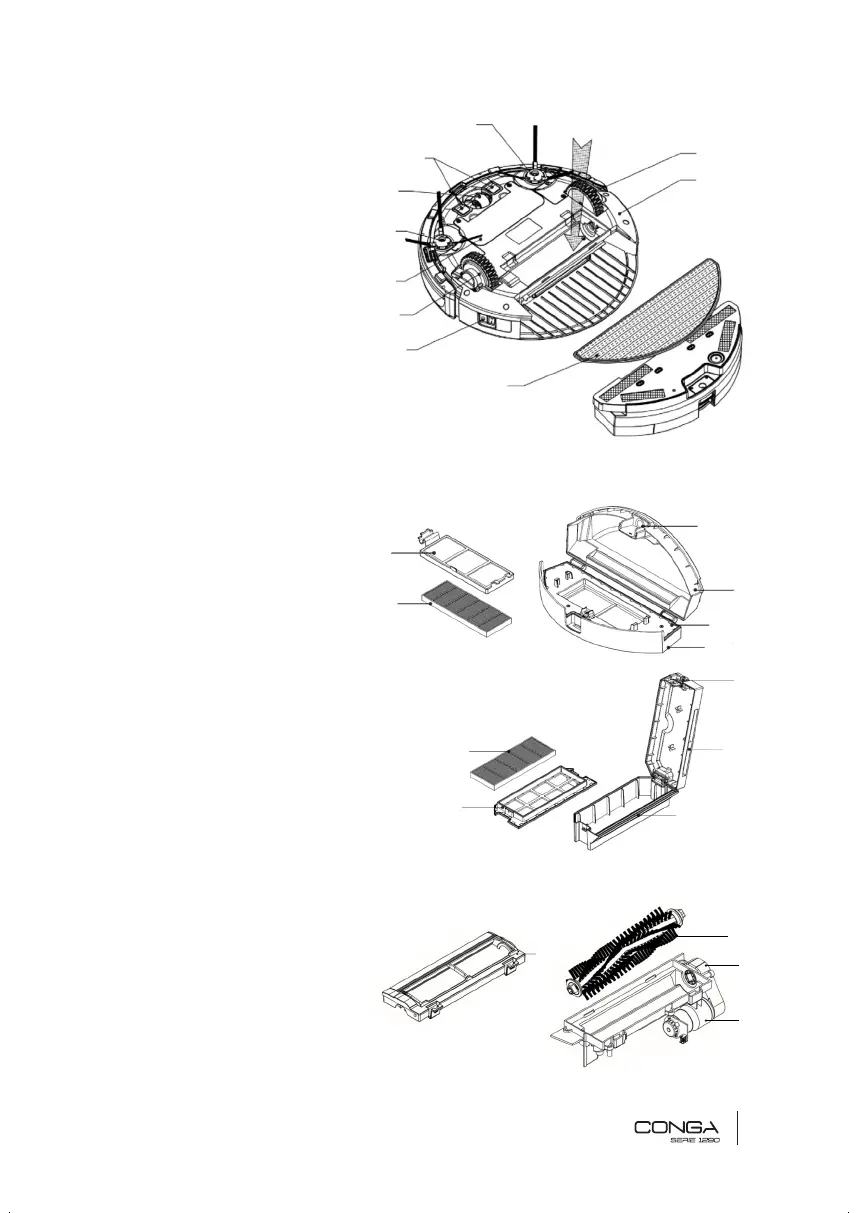 Page #5 background image