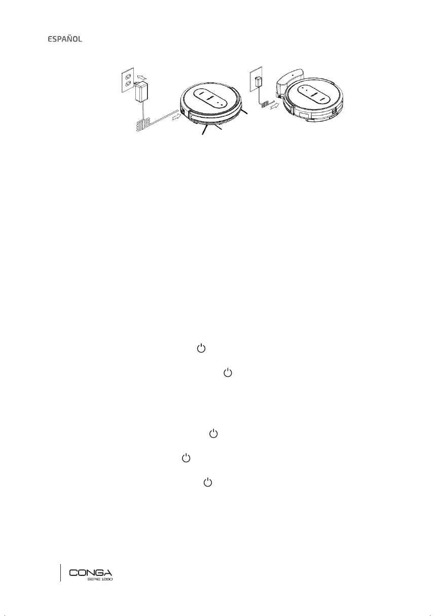 Page #10 background image