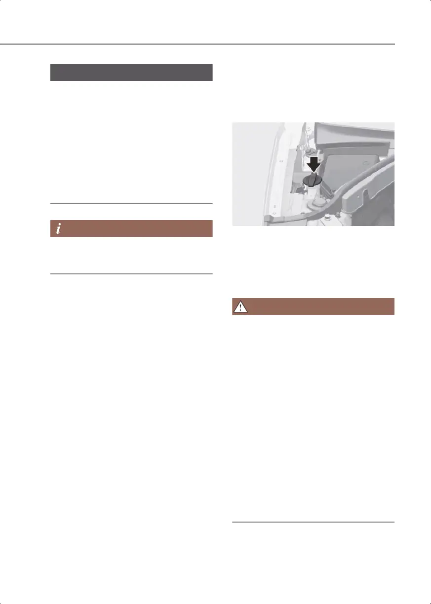 Page #483 background image