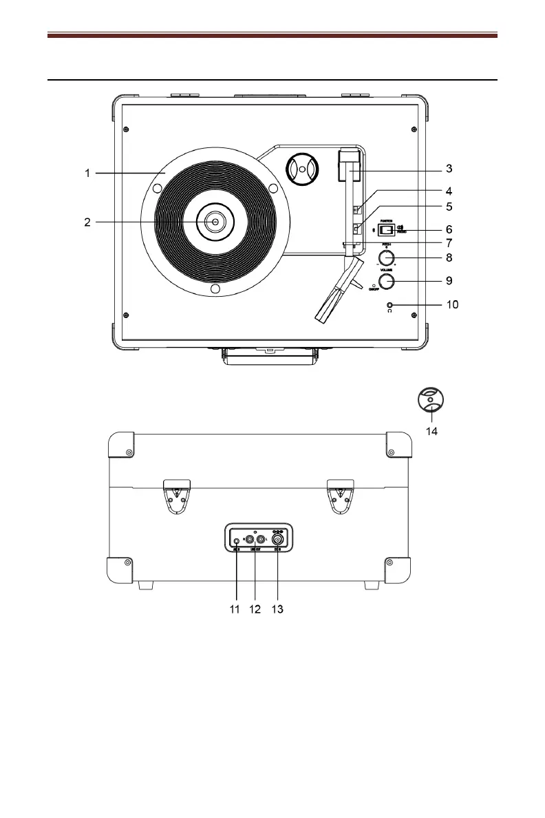 Page #4 background image