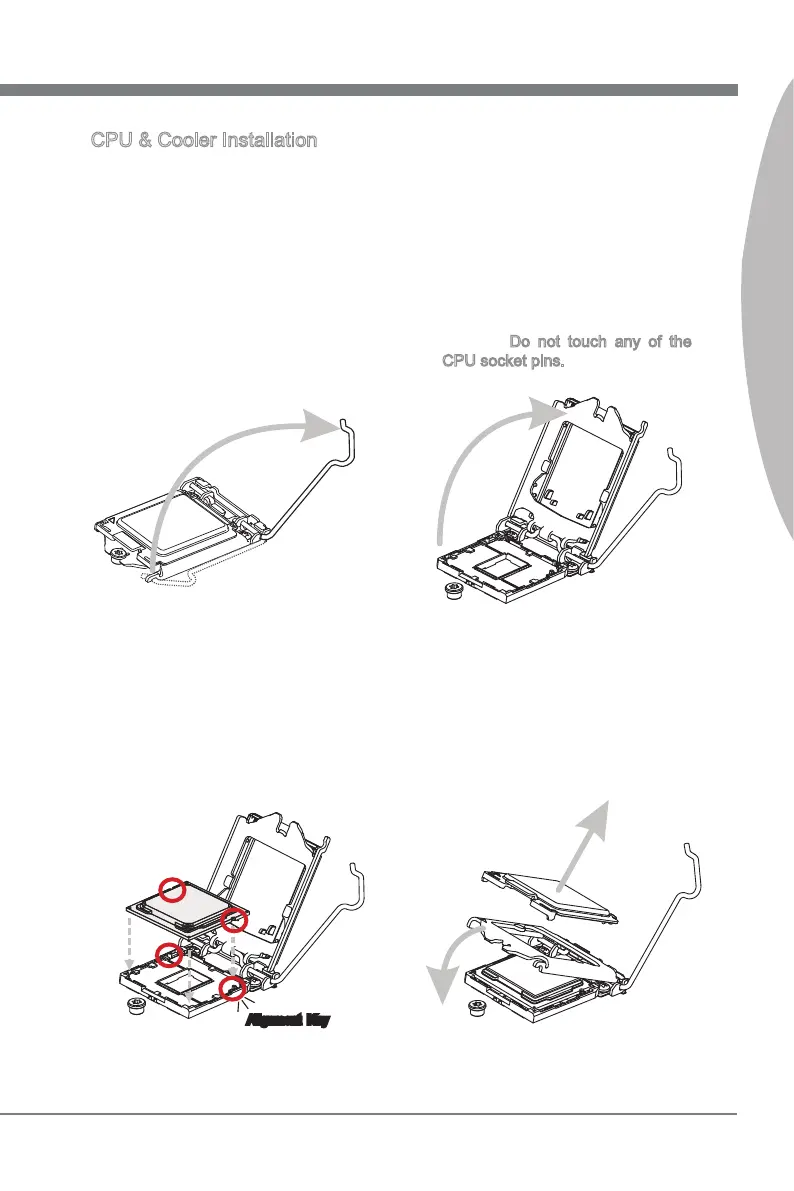Page #19 background image