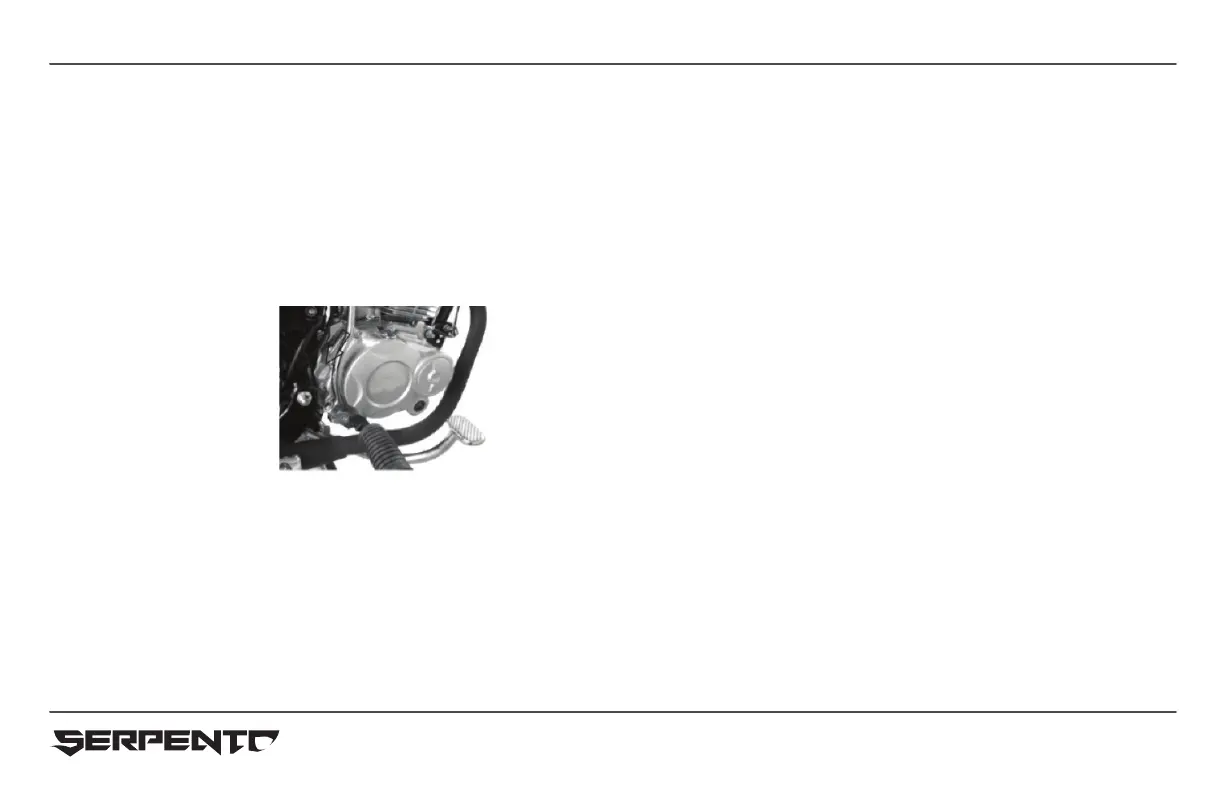 Page #41 background image