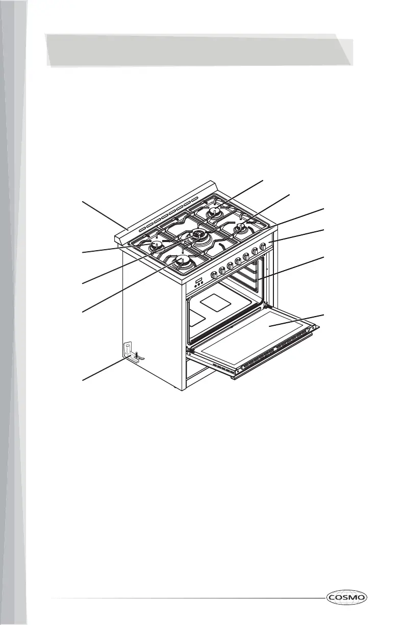 Page #12 background image