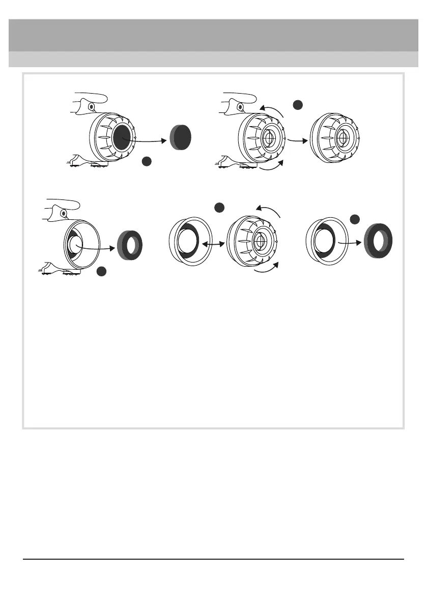 Page #12 background image
