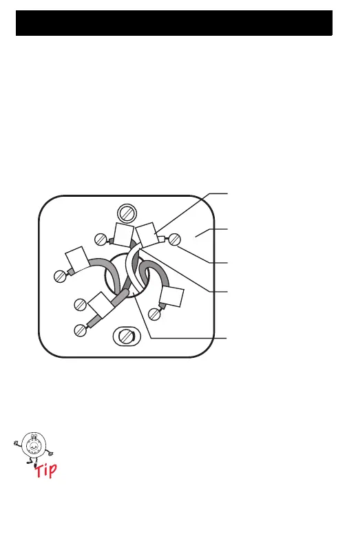 Page #10 background image