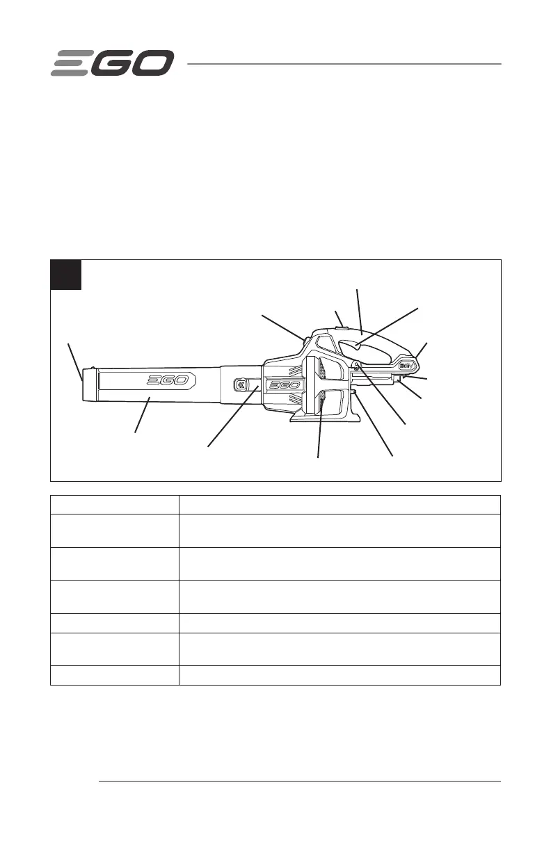 Page #62 background image
