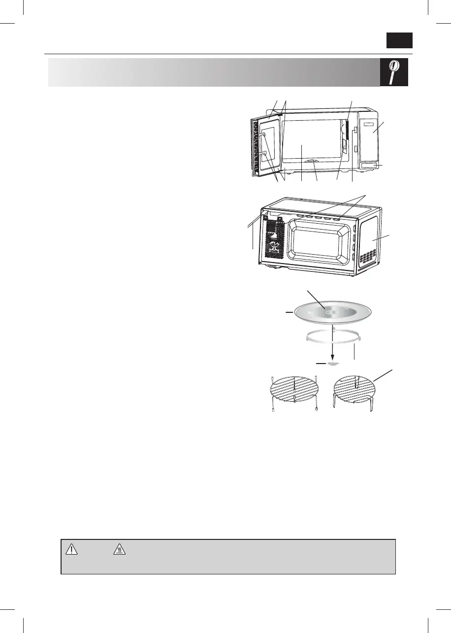 Page #29 background image
