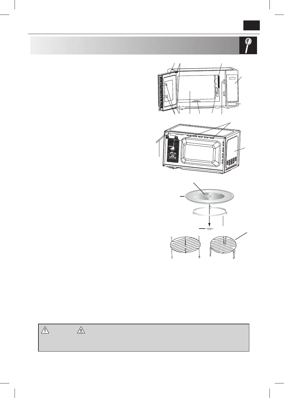 Page #55 background image