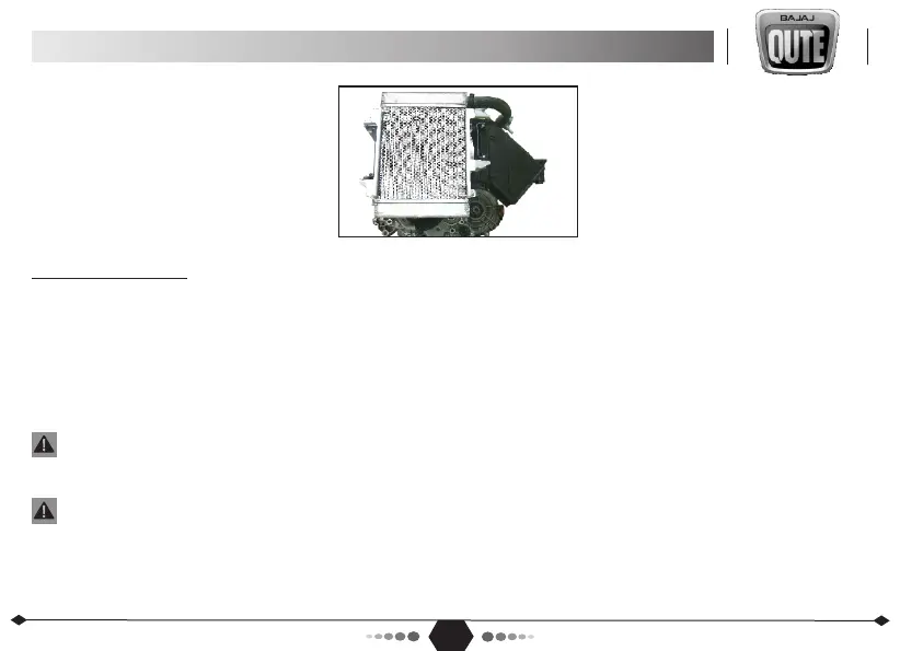 Page #74 background image