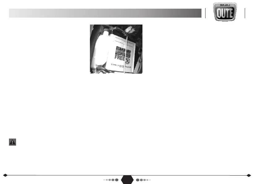 Page #79 background image