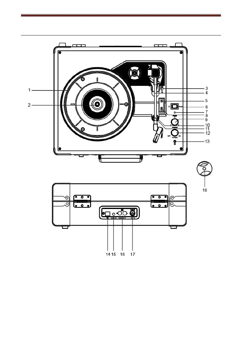 Page #13 background image