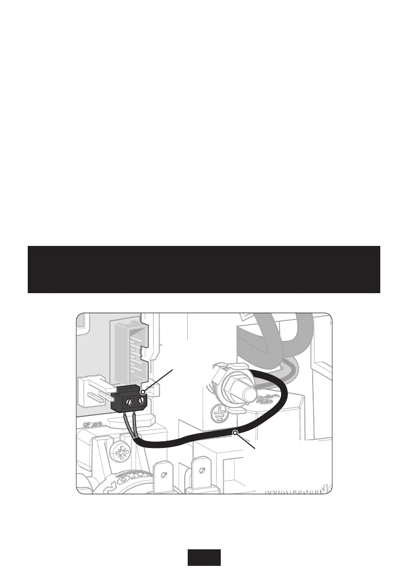 Page #20 background image