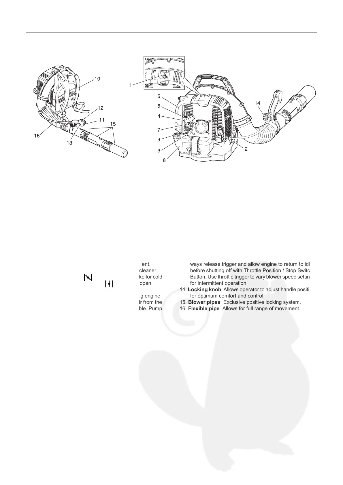 Page #13 background image