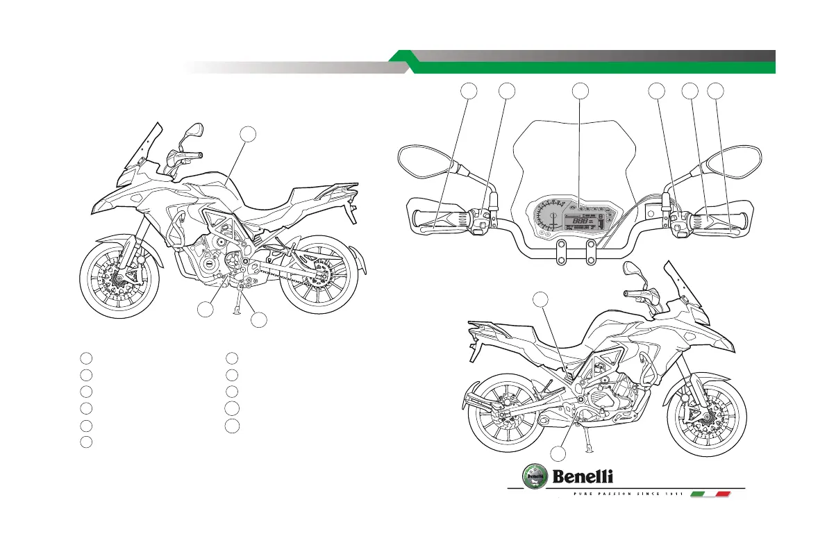 Page #13 background image