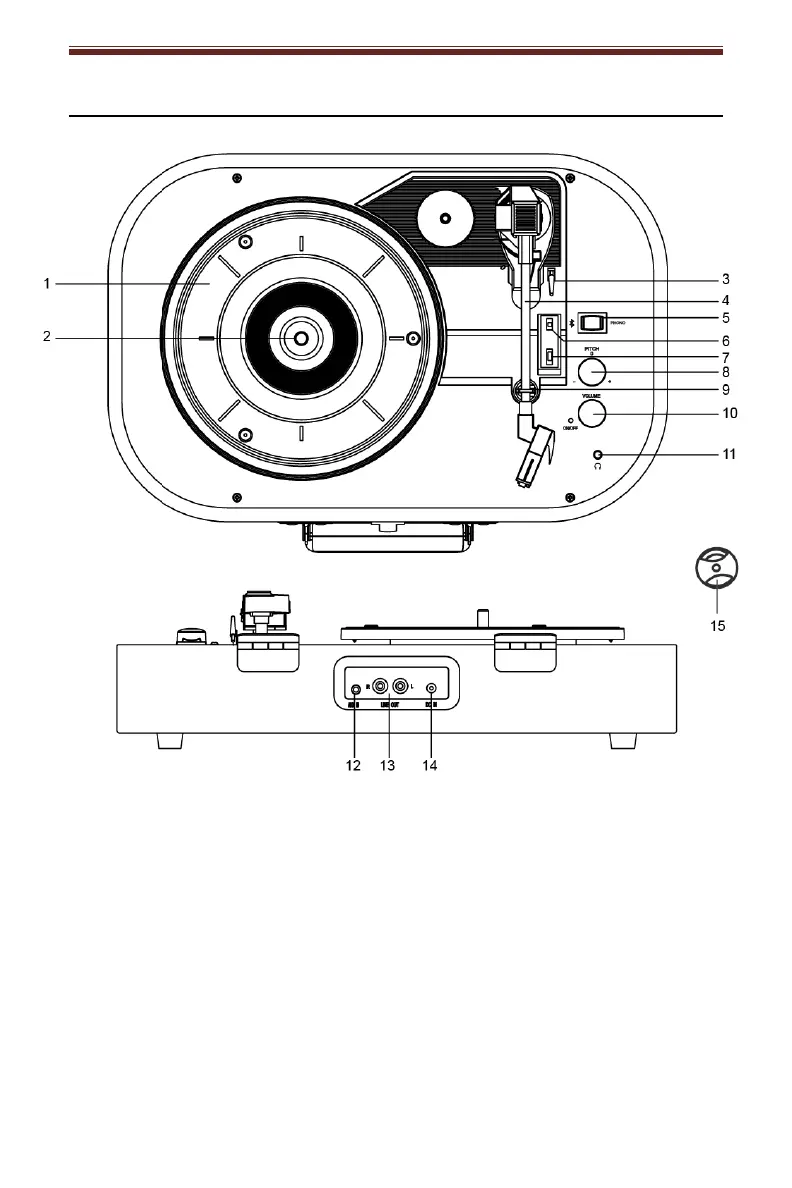 Page #4 background image