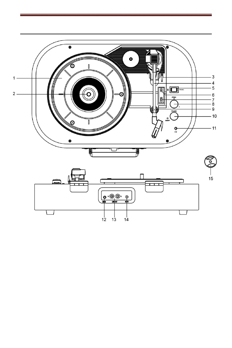 Page #13 background image