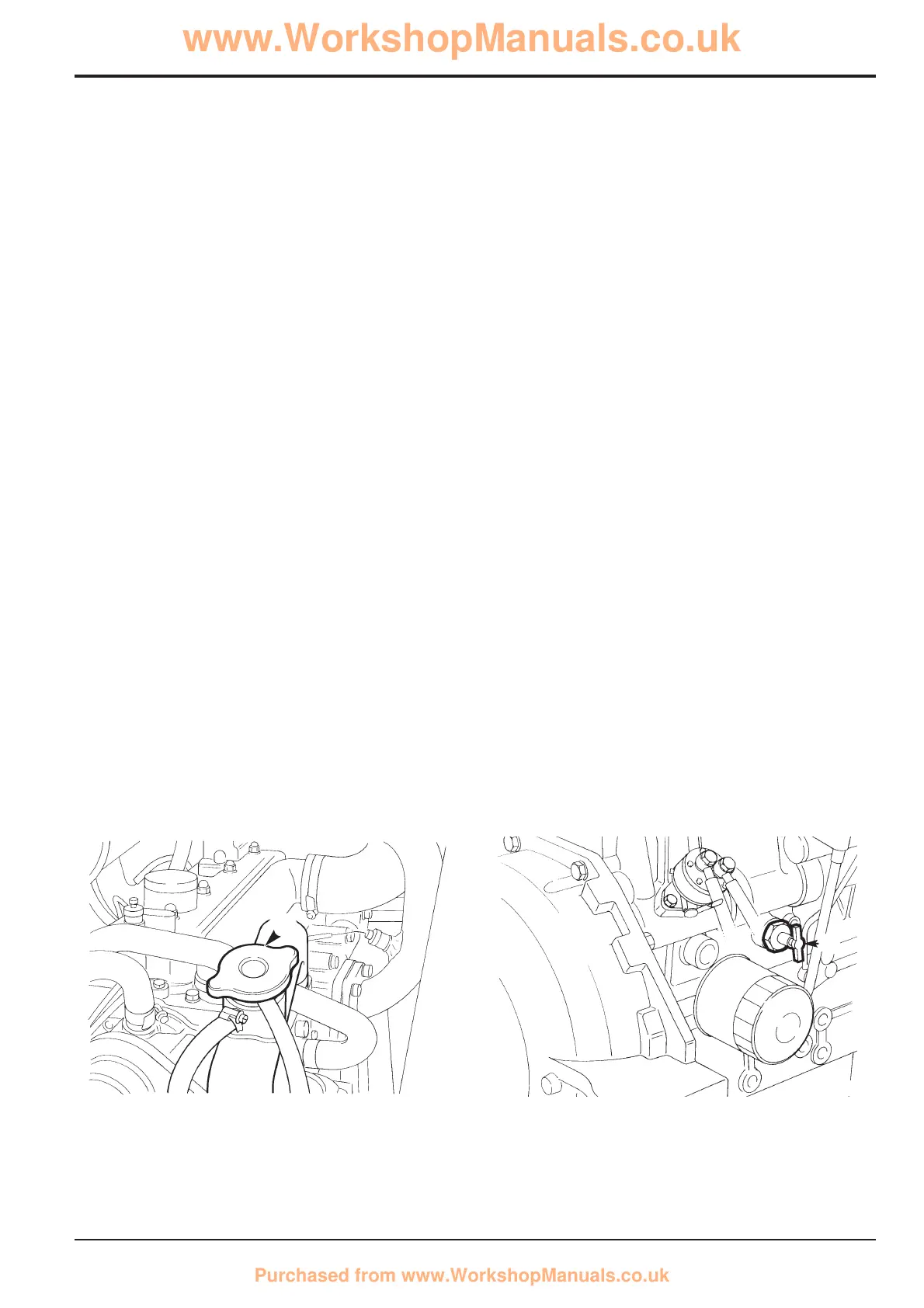 Page #61 background image