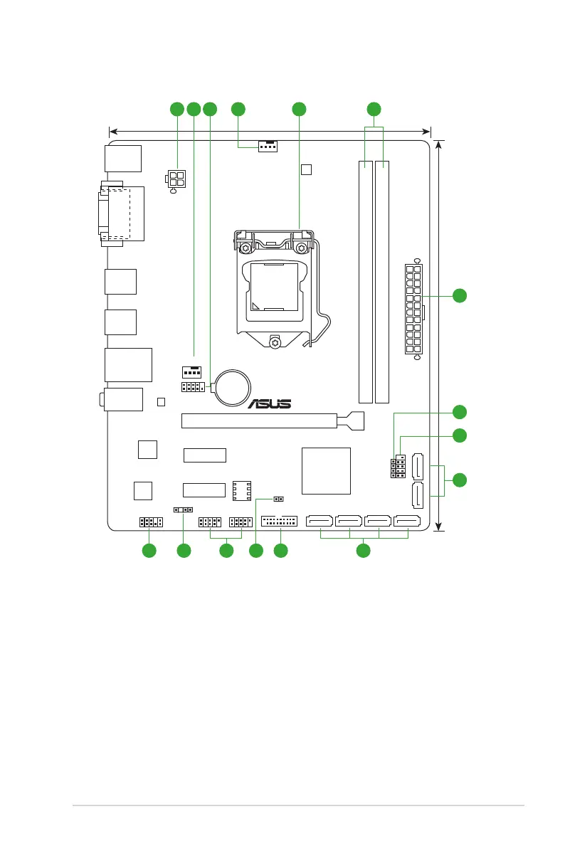 Page #11 background image