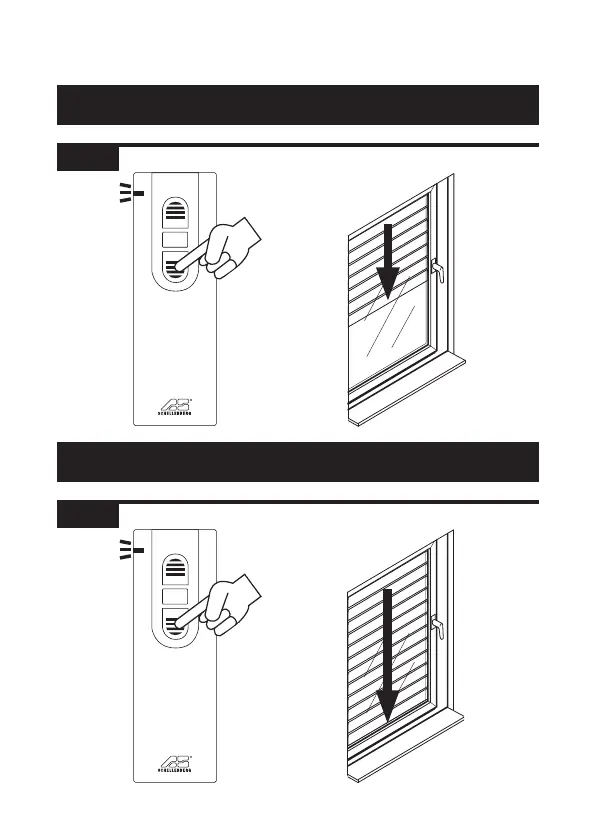 Page #207 background image