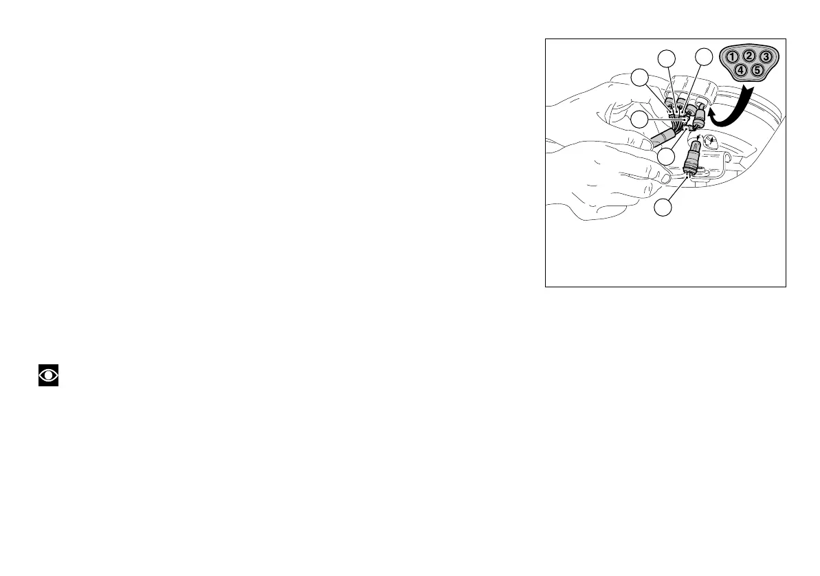 Page #229 background image