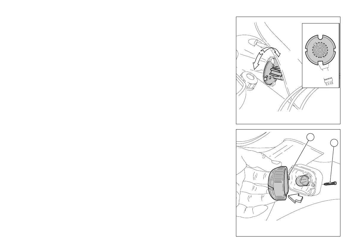 Page #231 background image