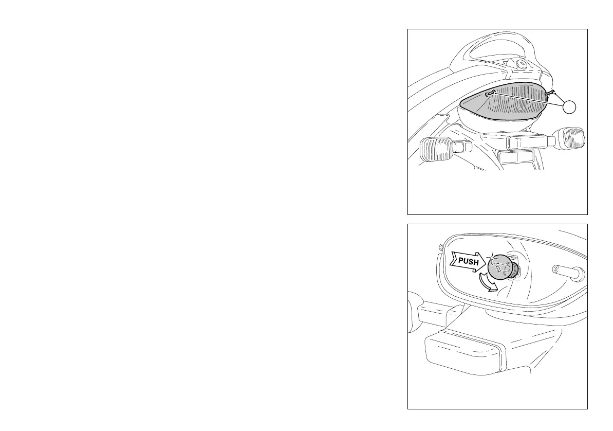 Page #233 background image