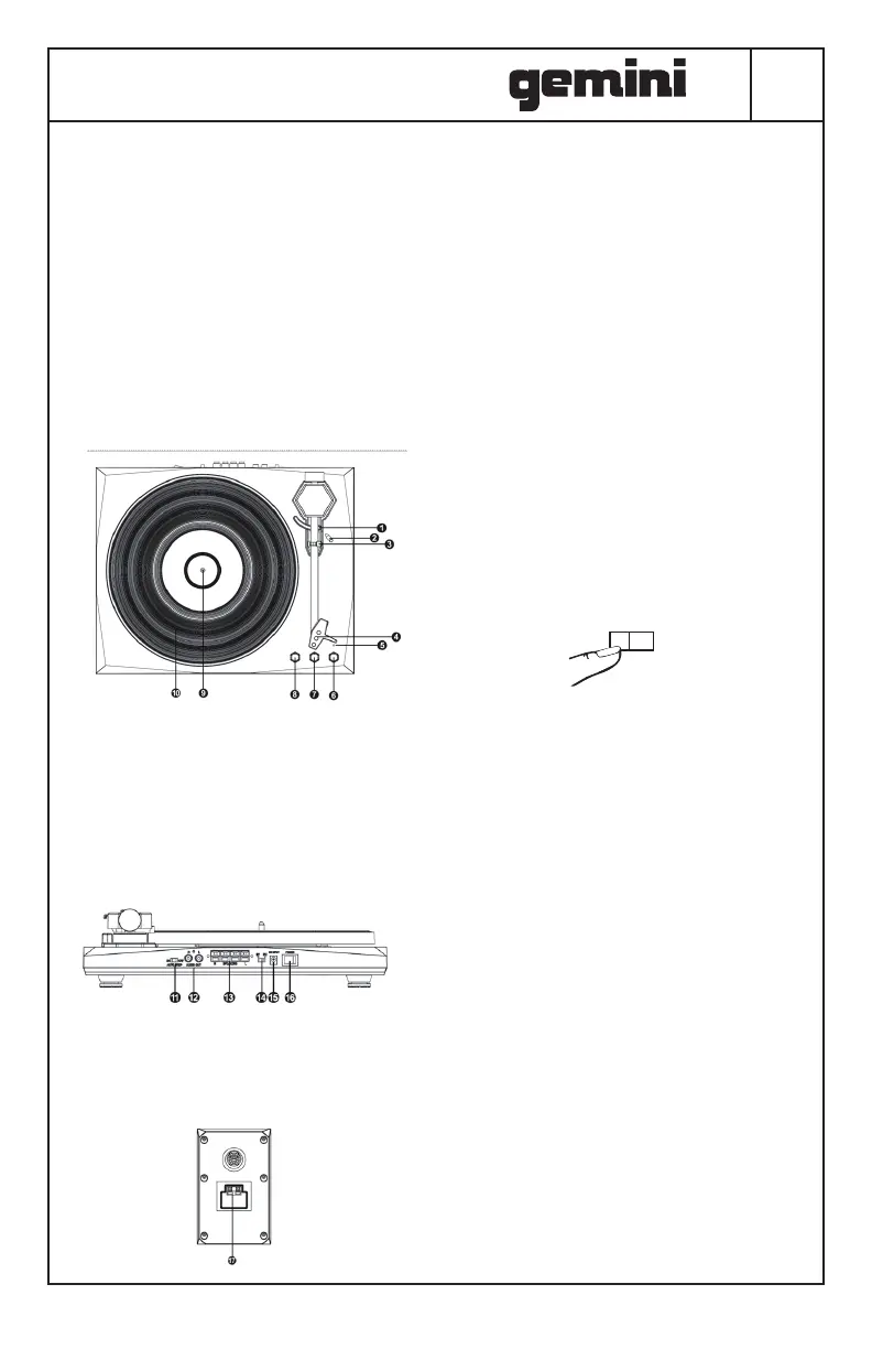 Page #5 background image