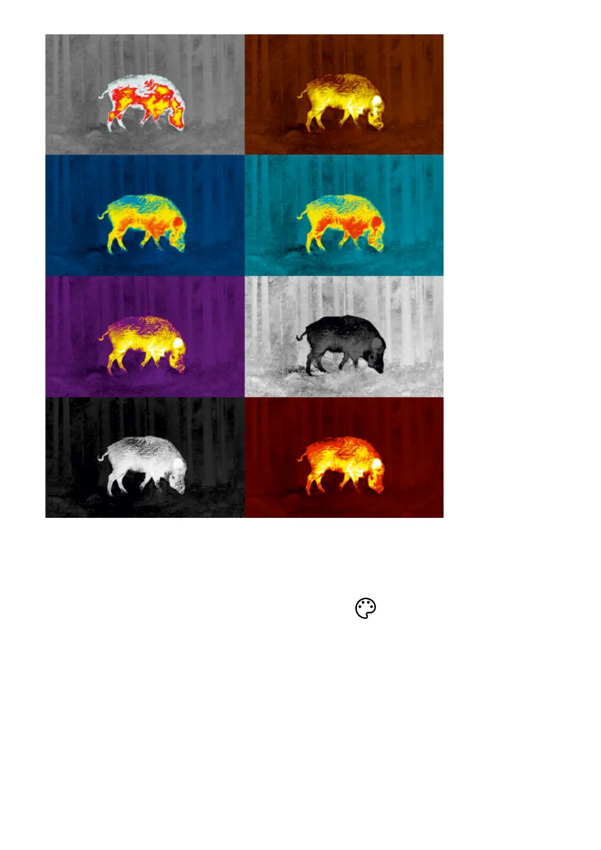 Page #43 background image