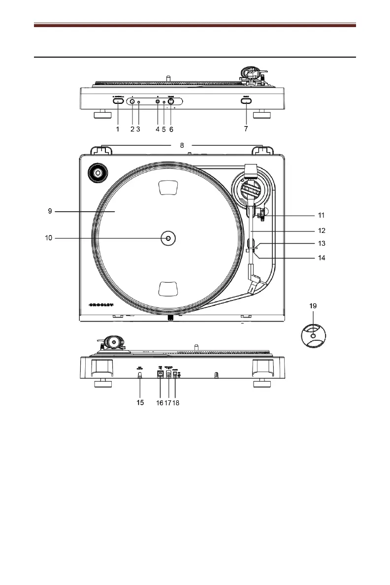 Page #4 background image