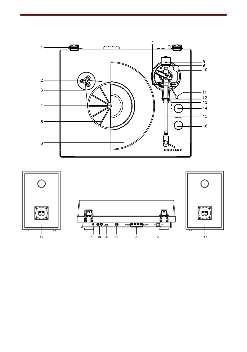 Page #5 background image