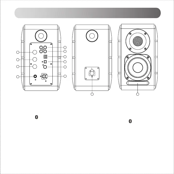 Page #50 background image