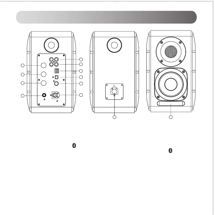 Page #80 background image