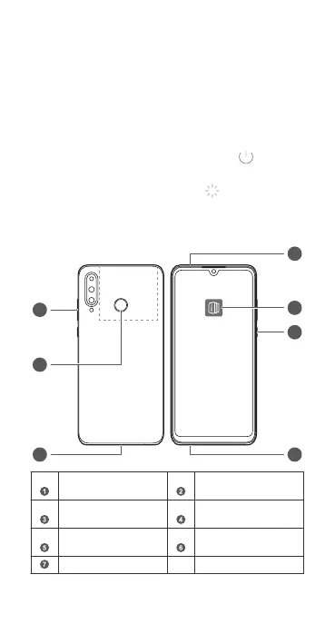 Page #54 background image