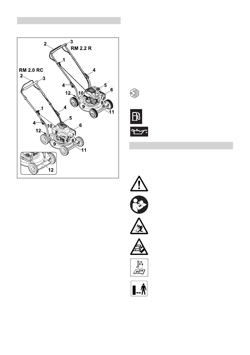Page #66 background image