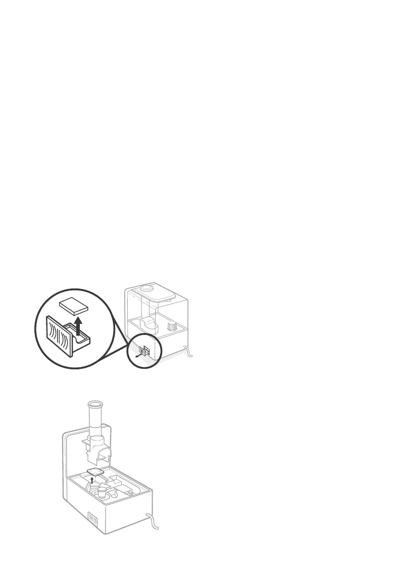 Page #19 background image