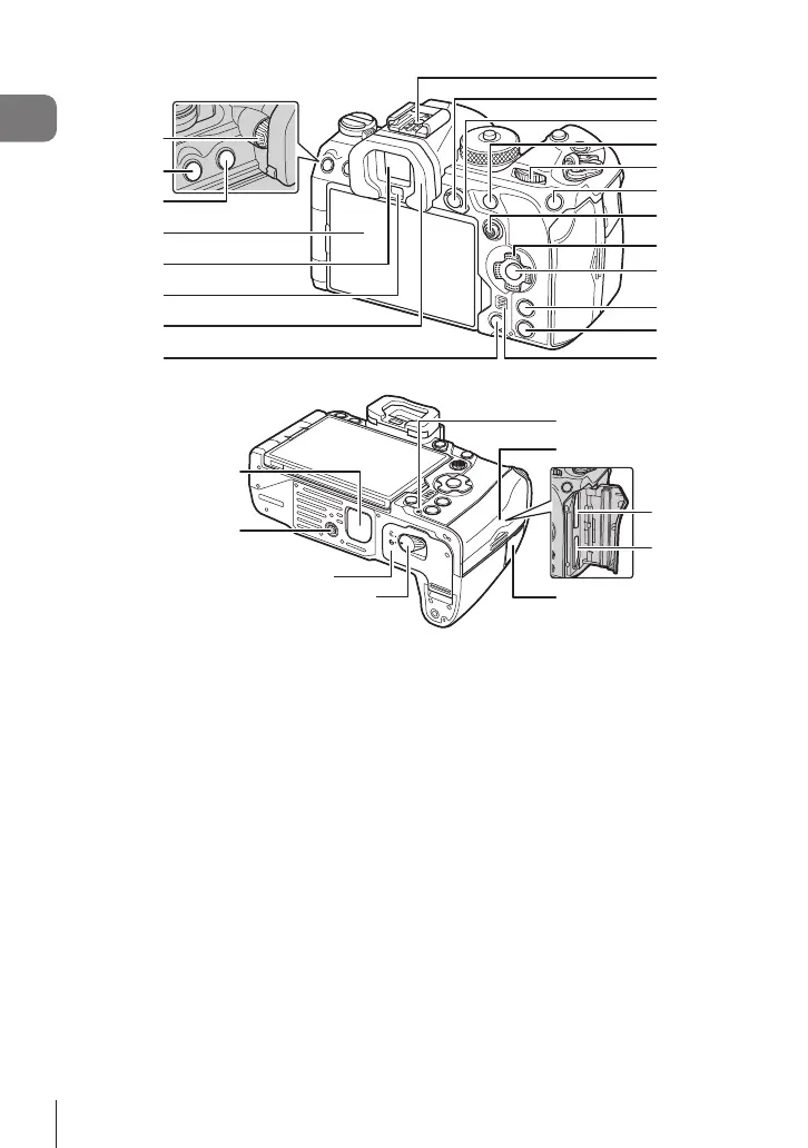 Page #16 background image