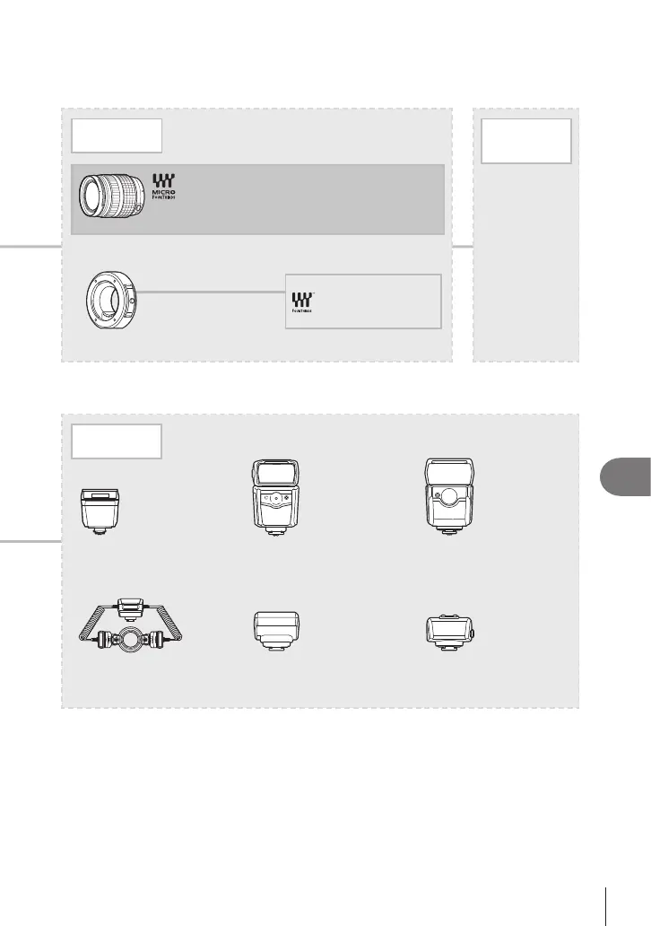 Page #303 background image
