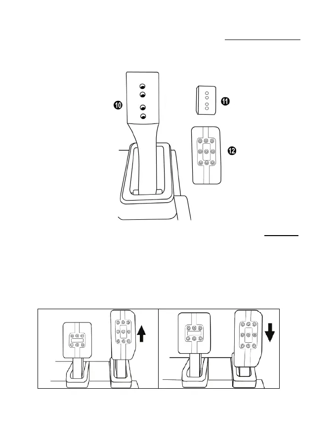 Page #231 background image