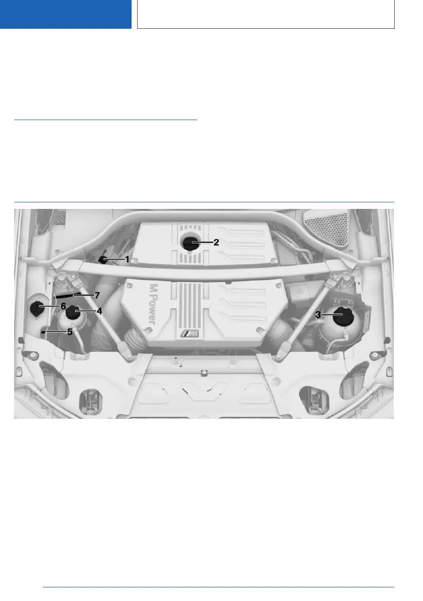 Page #346 background image