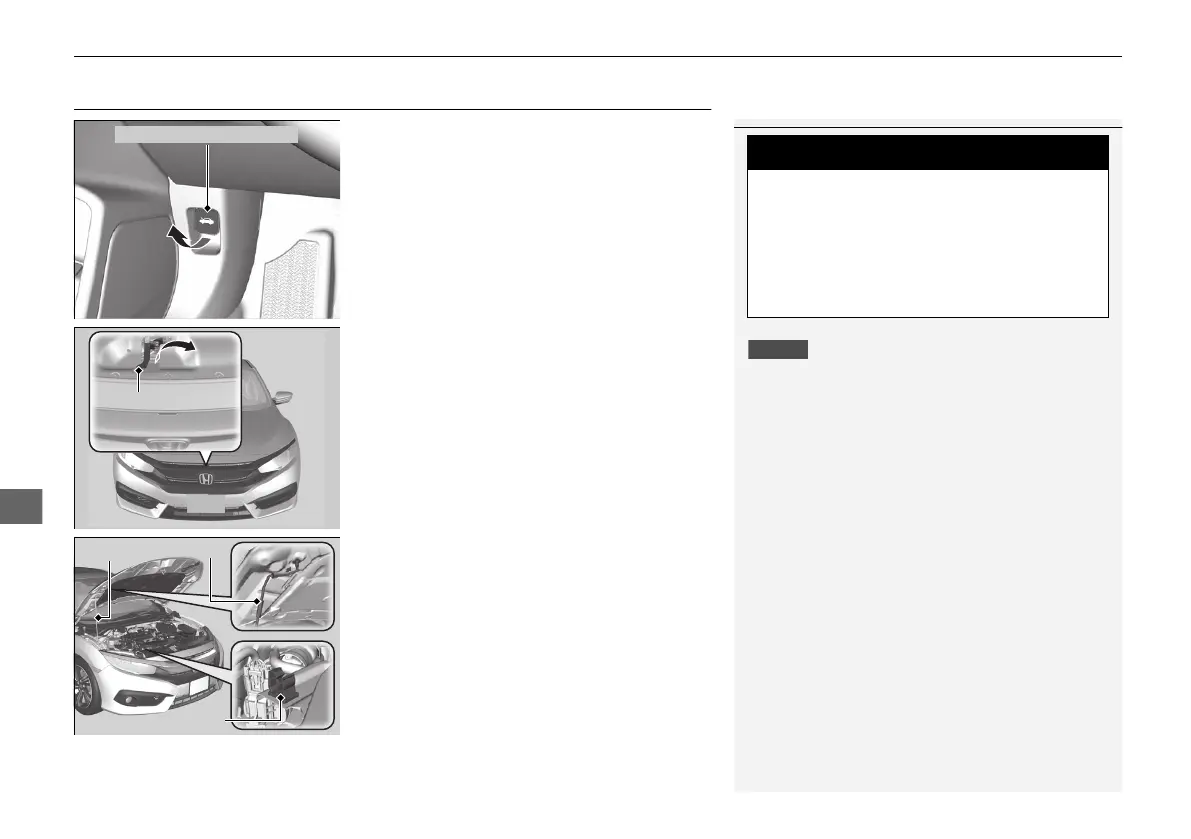Page #519 background image